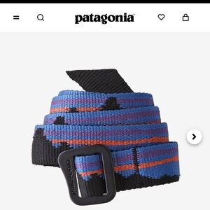 Patagonia Friction Belt